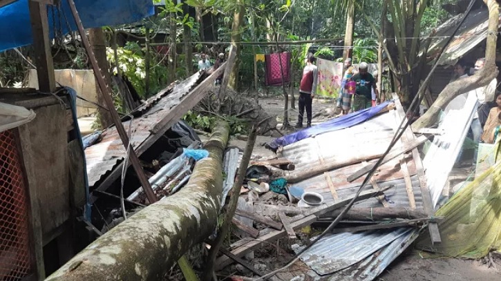 কালিহাতীতে ঝড়ে ঘরের ওপর গাছ পড়ে নারীর মৃত্যু