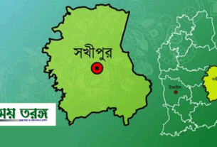 সখীপুরে-বোনকে-ধর্ষণের-অভিযোগ