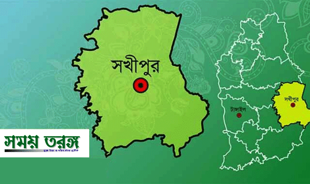 সখীপুরে-বোনকে-ধর্ষণের-অভিযোগ