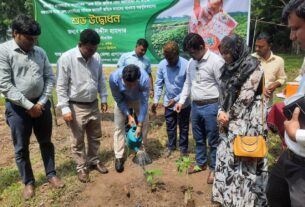 জেলা সদরের পরিত্যাক্ত জমি চাষাবাদের আওতায় আনলেন জেলা প্রশাসক