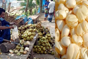 টাঙ্গাইলে মধু মাসে উপকারী তালের শাঁসের কদর ও চাহিদা বেড়েছে!