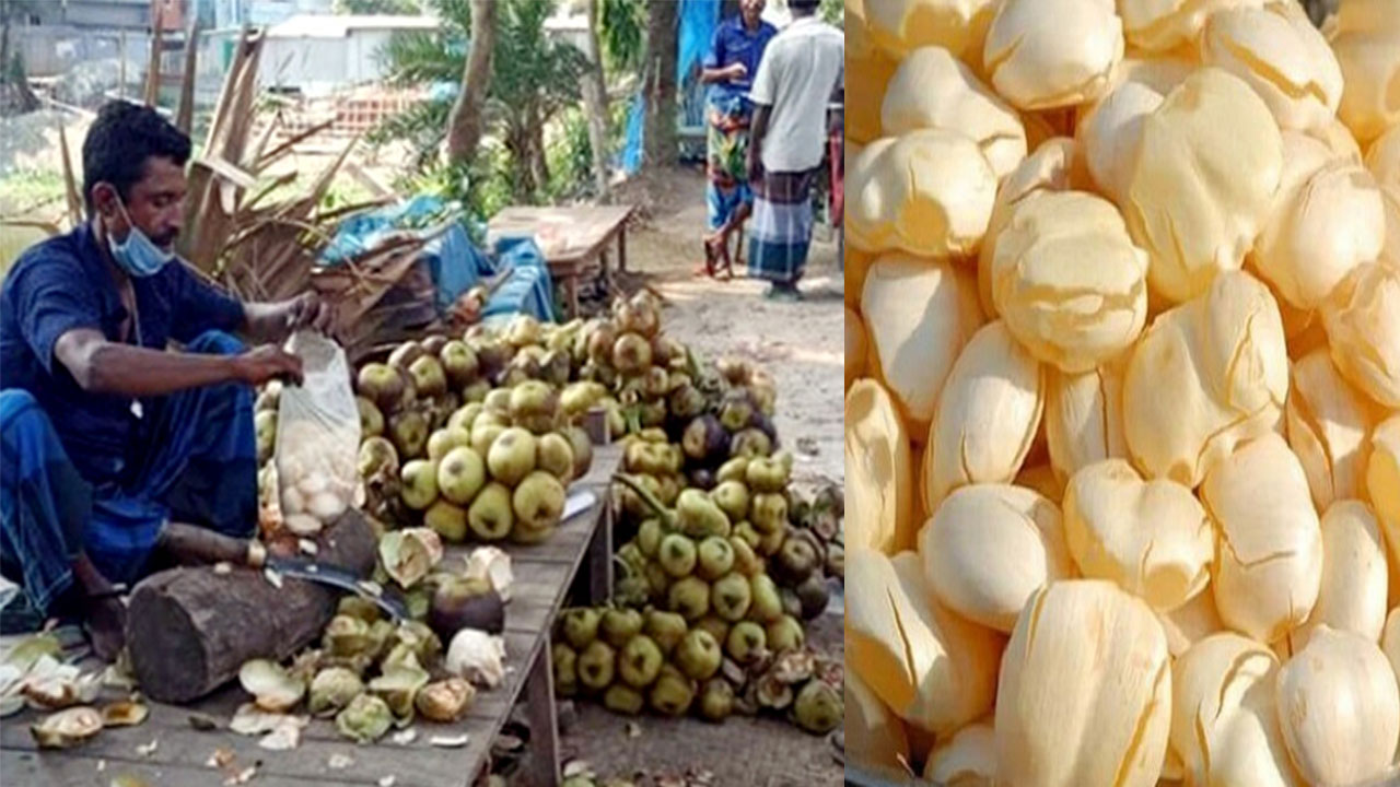 টাঙ্গাইলে মধু মাসে উপকারী তালের শাঁসের কদর ও চাহিদা বেড়েছে!