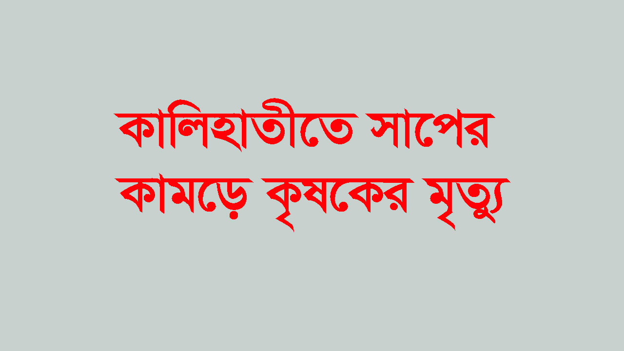 কালিহাতীতে সাপের কামড়ে কৃষকের মৃত্যু