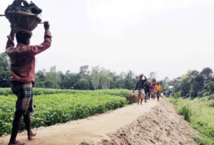 কালিহাতীর-কোকডহরা-ইউনিয়নে-নিজেরাই-নির্মাণ-করল-গোরস্থানের-রাস্তা!