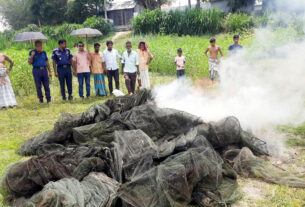 বাসাইলে দুই লাখ ৫০ হাজার টাকার চায়না জাল জব্দ