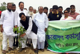 বাসাইলে প্রকৃতি ও জীবন ক্লাবের বৃক্ষরোপণ