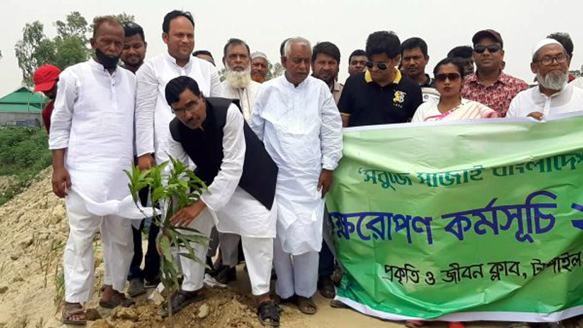 বাসাইলে প্রকৃতি ও জীবন ক্লাবের বৃক্ষরোপণ