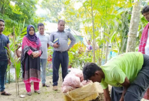 গোপালপুর ব্রয়লার মুরগির পঁচা মাংস বিক্রি করায় যুবক আটক: জরিমানা