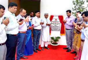 টাঙ্গাইলে সার্কিট হাউজের ভবনে ছাদ বাগানের কার্যক্রম শুরু