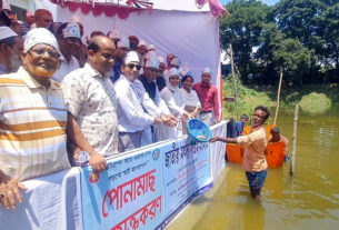 বাসাইলে জাতীয় মৎস্য সপ্তাহ উপলক্ষে মাছের পোনা অবমুক্ত