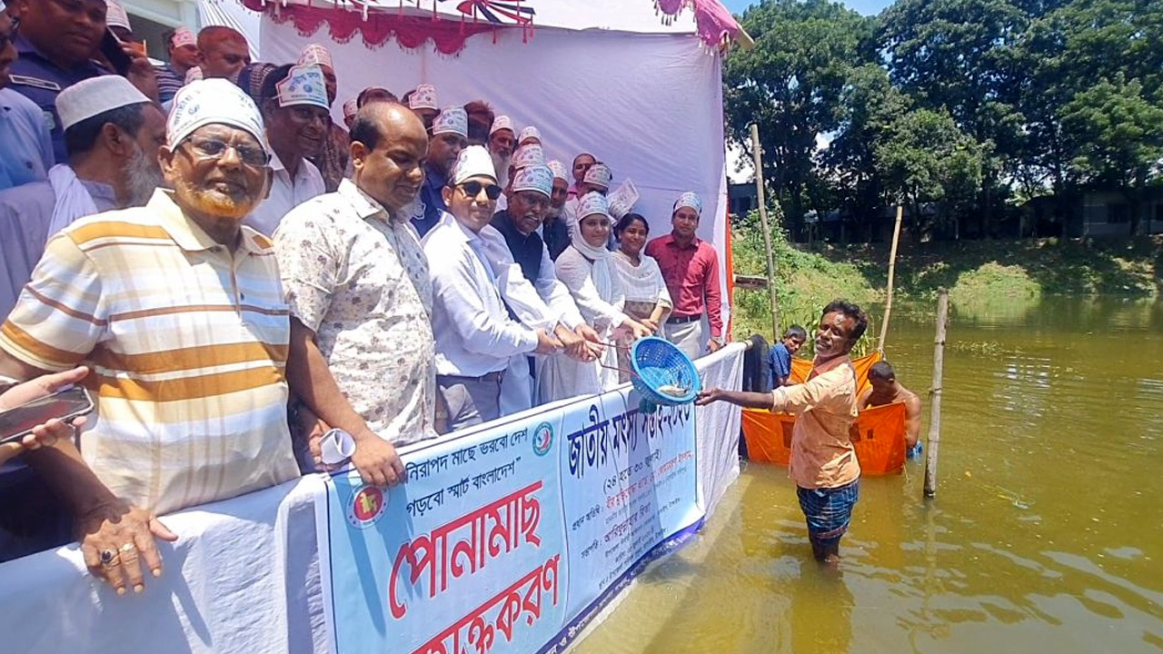 বাসাইলে জাতীয় মৎস্য সপ্তাহ উপলক্ষে মাছের পোনা অবমুক্ত