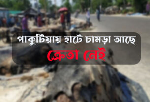 ঘাটাইলের পাকুটিয়ায় হাটে চামড়া আছে: ক্রেতা নেই