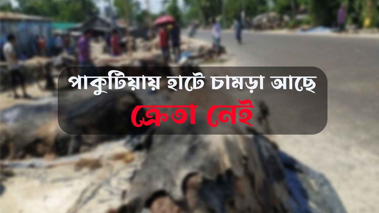 ঘাটাইলের পাকুটিয়ায় হাটে চামড়া আছে: ক্রেতা নেই