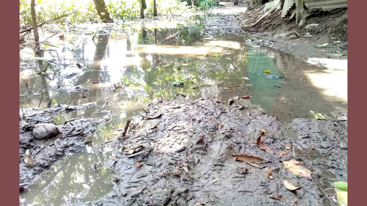 কালিহাতীতে ১৪ বছরেও সংস্কার হয়নি রাস্তা