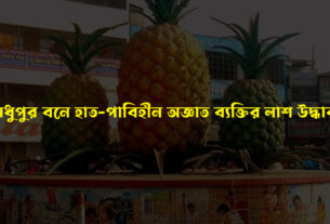 মধুপুর বনে হাত-পাবিহীন অজ্ঞাত ব্যক্তির লাশ উদ্ধার