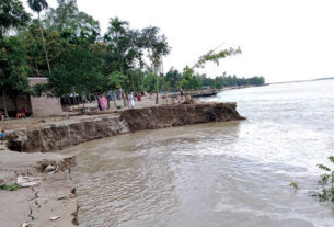 ভূঞাপুর উপজেলার পার্শ্ববর্তী অঞ্চলে যমুনায় ভাঙন অব্যাহত