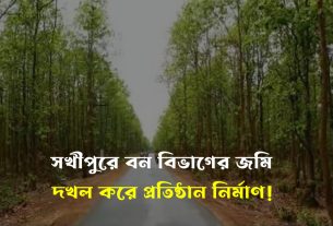 সখীপুরে বন বিভাগের জমি দখল করে প্রতিষ্ঠান নির্মাণ