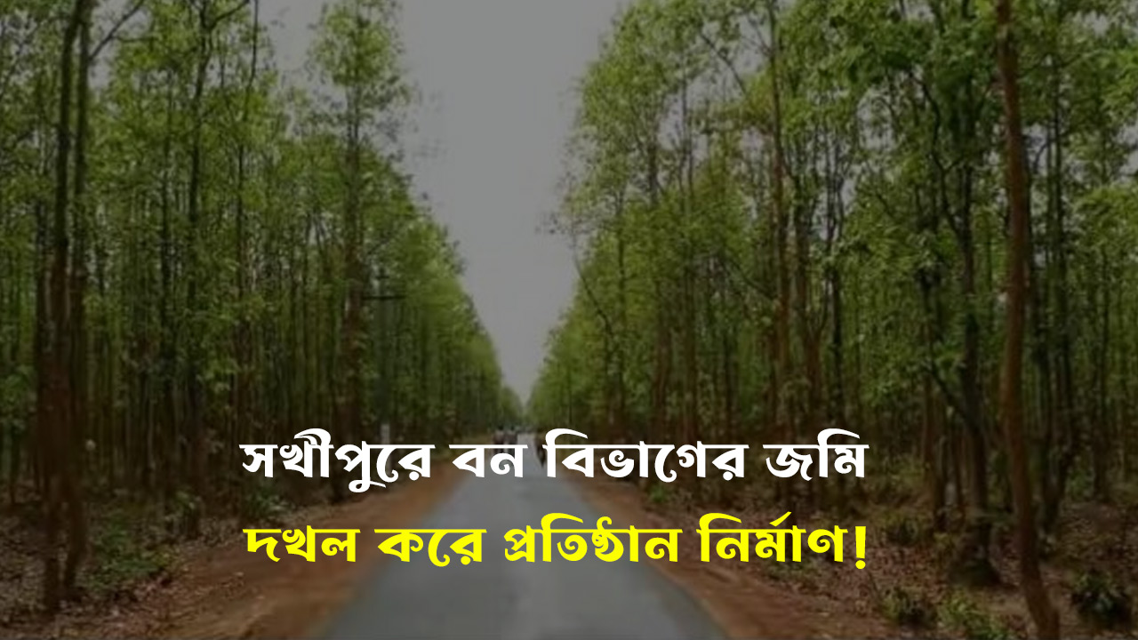 সখীপুরে বন বিভাগের জমি দখল করে প্রতিষ্ঠান নির্মাণ