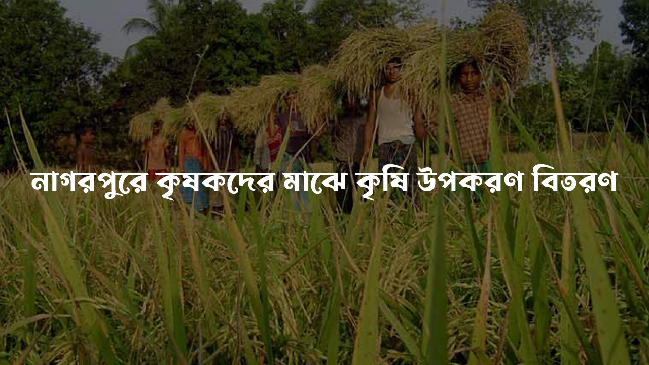 Tangail news