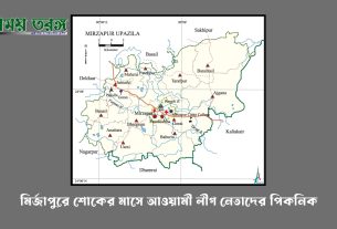 মির্জাপুরে শোকের মাসে আওয়ামী লীগ নেতাদের পিকনিক