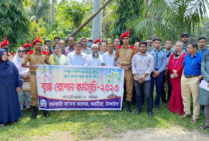 টাঙ্গাইলে সরকারি সা’দত কলেজে বৃক্ষরোপণ কর্মসূচি পালিত